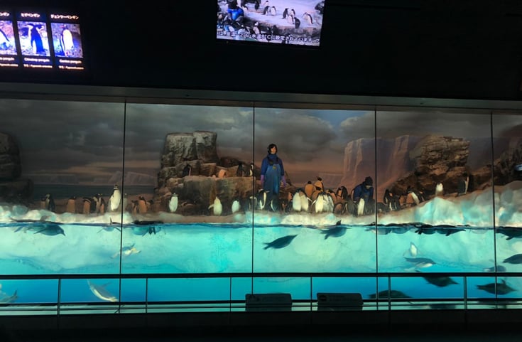 名古屋港水族館 1