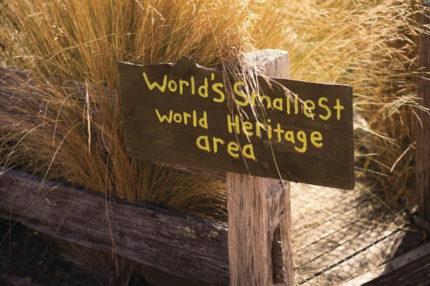 塔斯馬澤亞及小人國村_Tasmazia and_the_Village_of_Lower_Crackpot_1