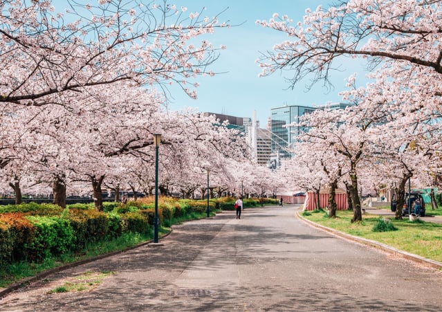 未命名 (594 × 420 公釐) (1)