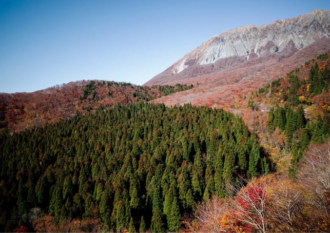 未命名 (594 × 420 公釐) (5)