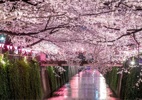 未命名設計 (11)