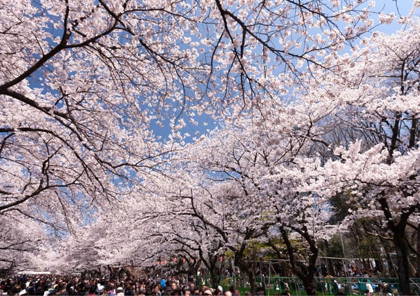 未命名設計 (14)