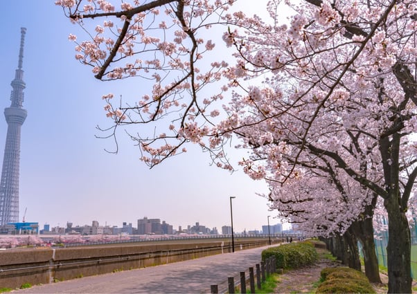 未命名設計 (16)