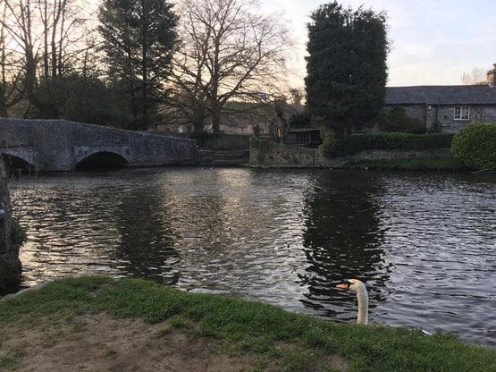 Ashford in the Water