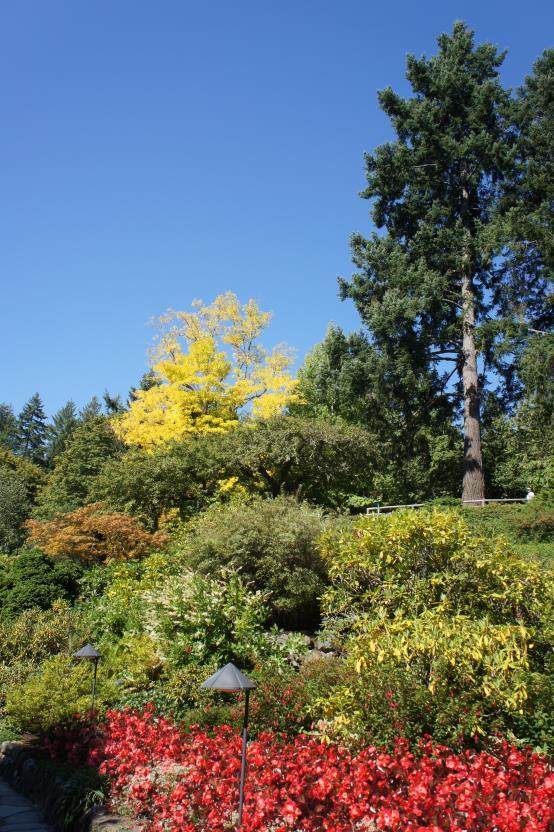 The Butchart Gardens3