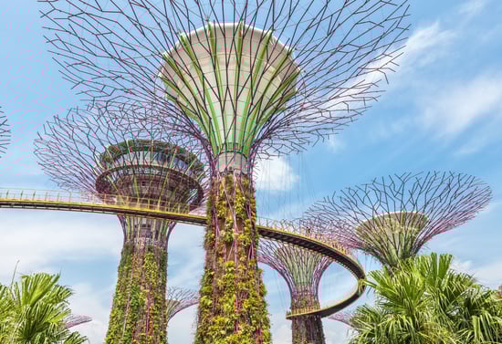 futuristic-super-trees-center-singapore-gardens-by-bay