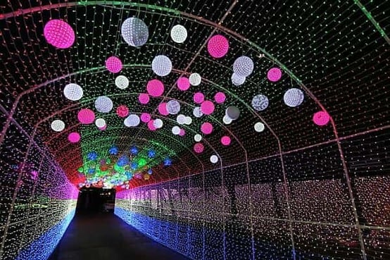 thumb-2041554198_DsZtEPqI_IMG_4828_600x400