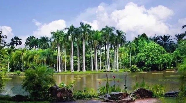中國科學院熱帶植物園