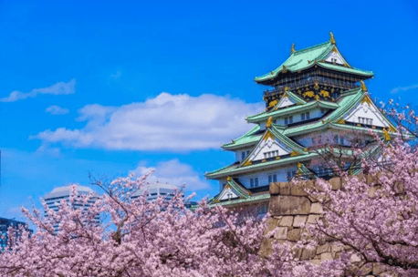 螢幕擷取畫面 2025-12-11 112921