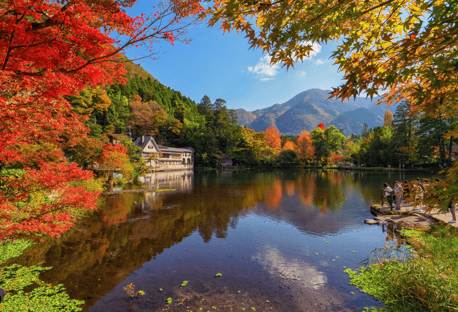 螢幕擷取畫面 2025-12-11 114840