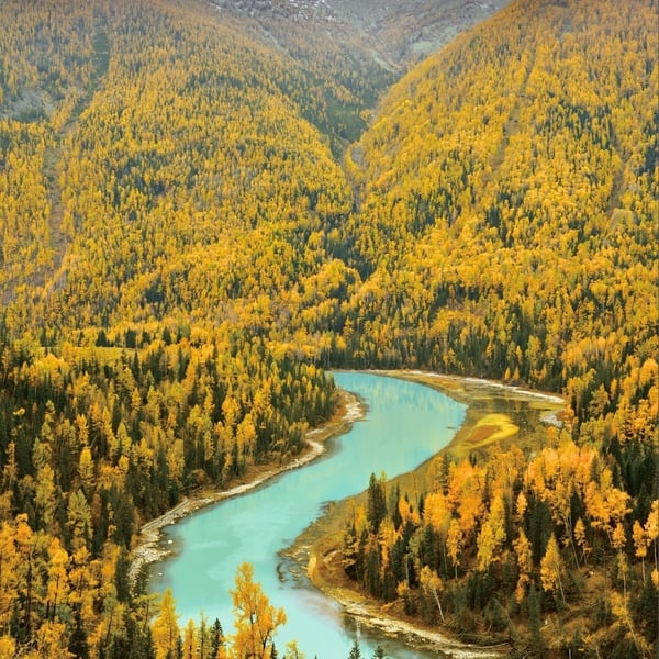 670541677_1409246267910244_5710998363407032567_n