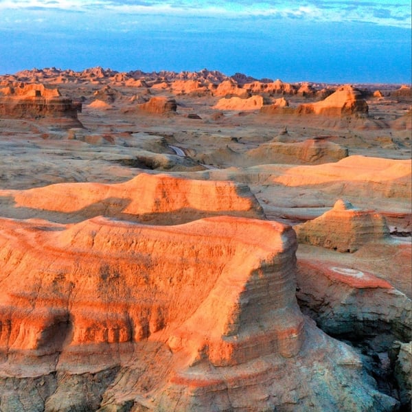 672069077_1409246331243571_8202867590233899514_n