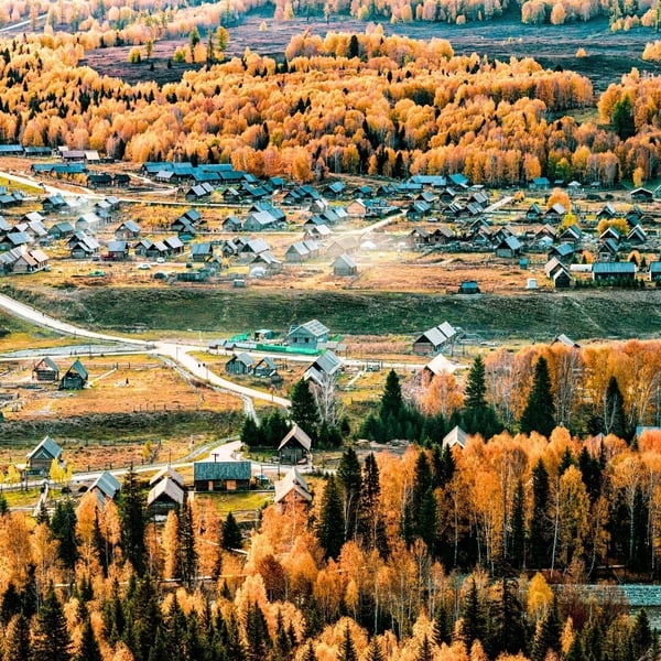 672690082_1409246287910242_7316039376233089496_n