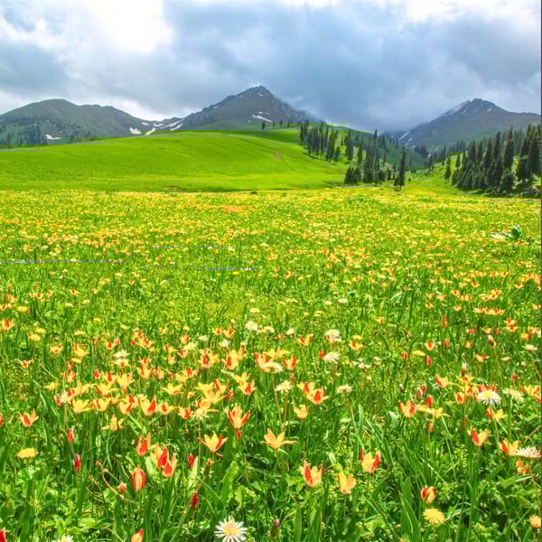 678987014_1415976497237221_4494393199031894423_n