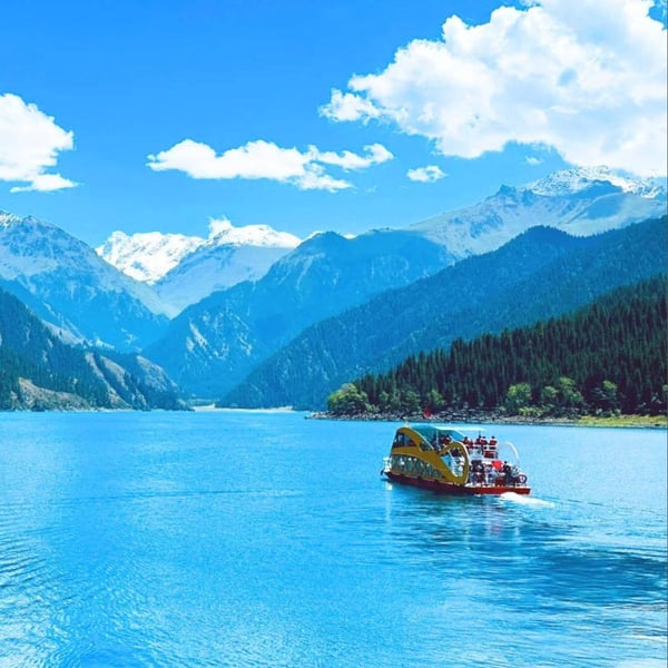 680126594_1415976483903889_8834583031749114211_n