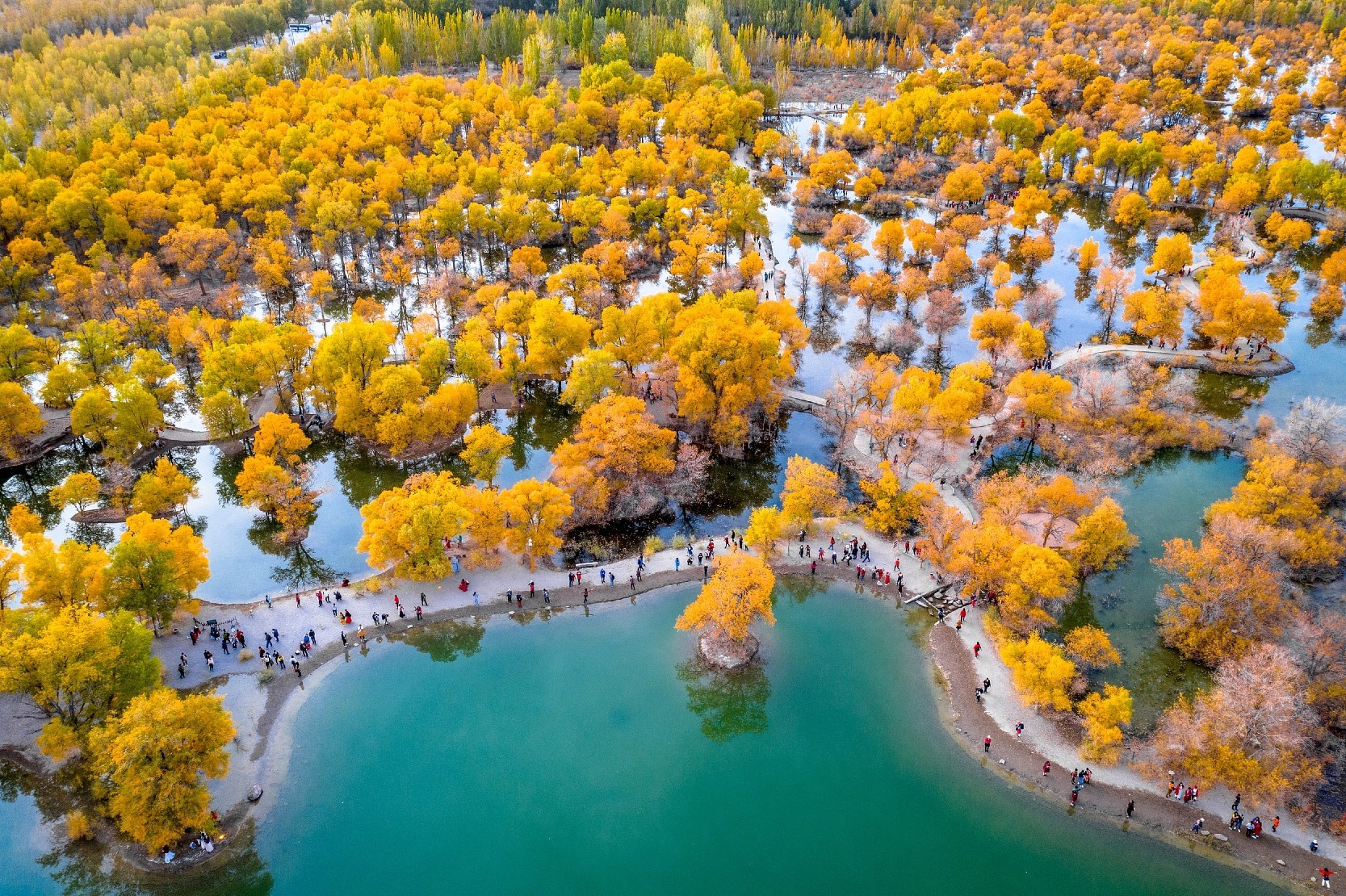12天 南疆 探索胡楊林奇景