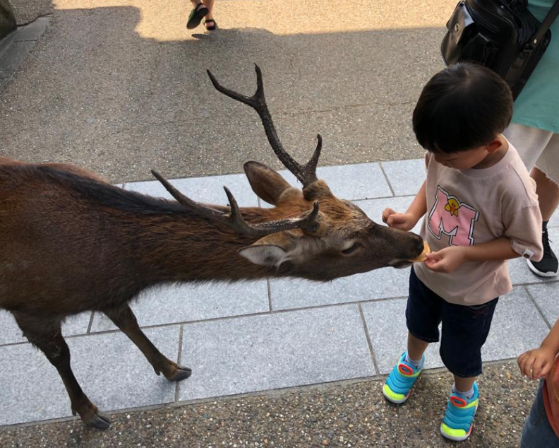 奈良公園
